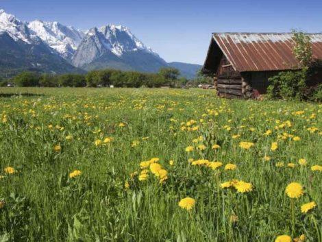 Апартаменты Alpenkette Гармиш-Партенкирхен Экстерьер фото